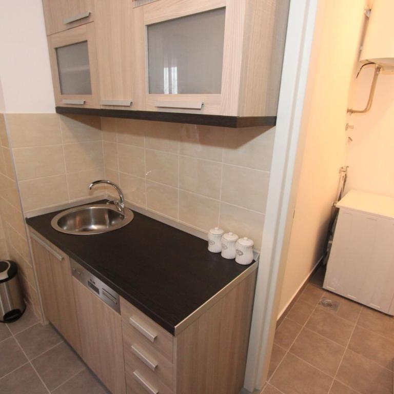 Aleksandar - Stan Na dan Belvil Novi Beograd, parking 5 evra dnevno - Apartman sa 1 Spavaćom Sobom - 11