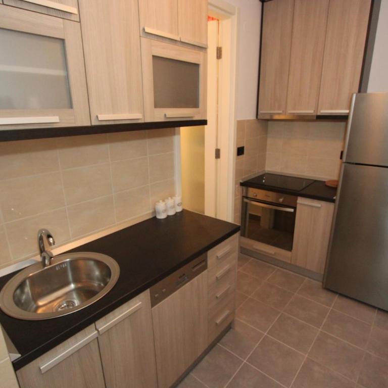 Aleksandar - Stan Na dan Belvil Novi Beograd, parking 5 evra dnevno - Apartman sa 1 Spavaćom Sobom - 3