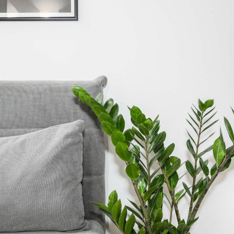 Suites Campo de' Fiori - Zen18-19-20 - Suite - 15