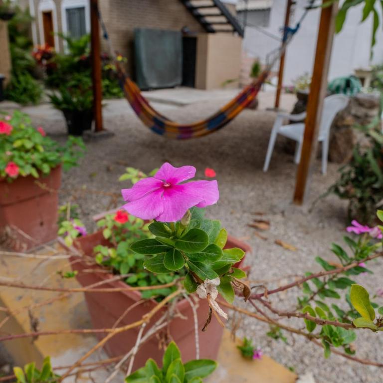 Las Casitas en Salinas - Apartamento de 2 dormitorios - 13