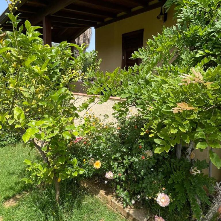 Villetta tre delfini - Villa con 3 Camere da Letto - 11