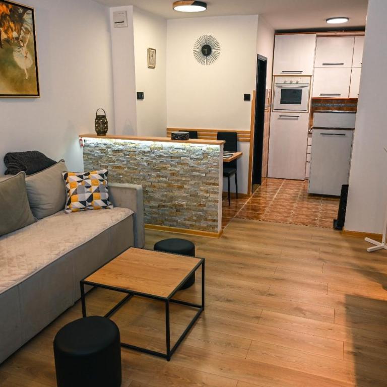 Aleksandra - One-Bedroom Apartment - 1