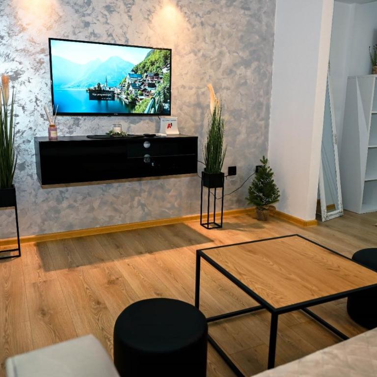 Aleksandra - One-Bedroom Apartment - 2