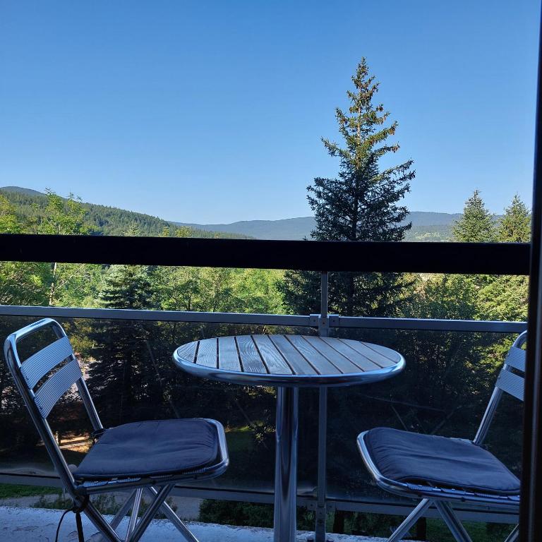 Studio aux pieds des pistes - Le Balcon de Villard - Studio with Mountain View - 20