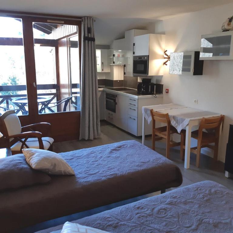 Studio confortable 28m², 4 pers, animaux admis, parking, wifi - Studio - 1