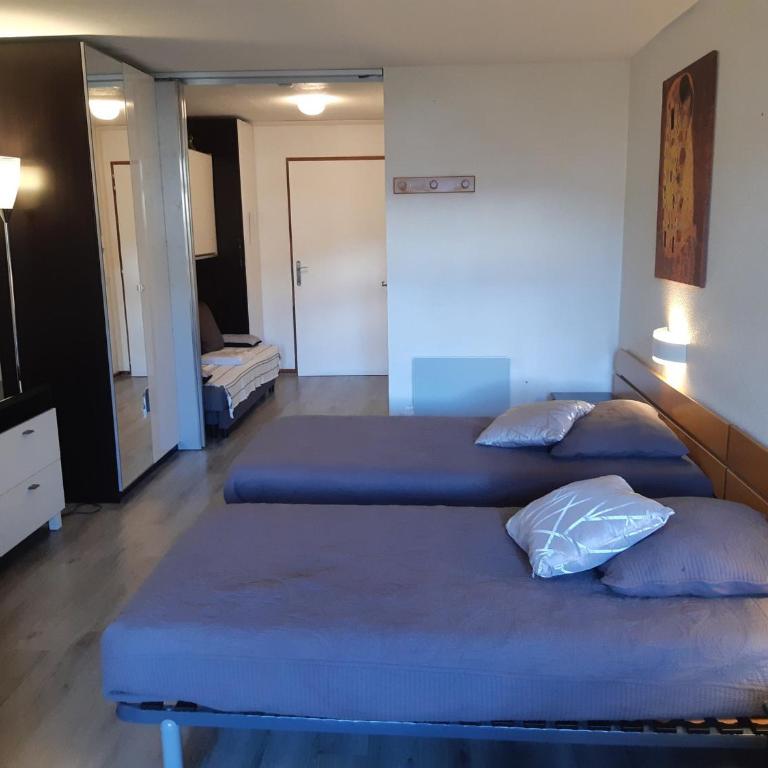 Studio confortable 28m², 4 pers, animaux admis, parking, wifi - Studio - 4