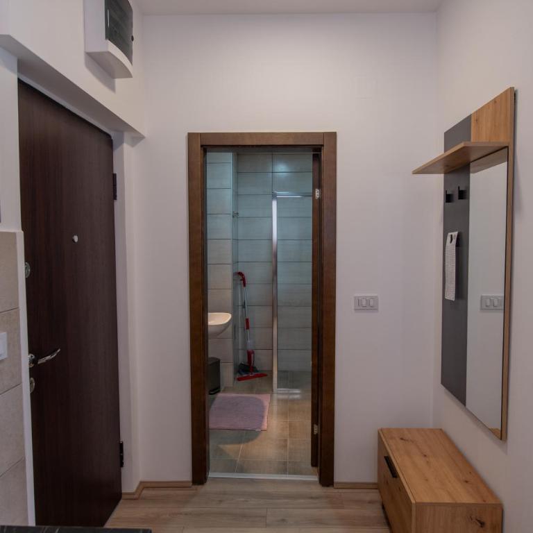Petković apartmani 87 - Apartman sa 1 Spavaćom Sobom - 52