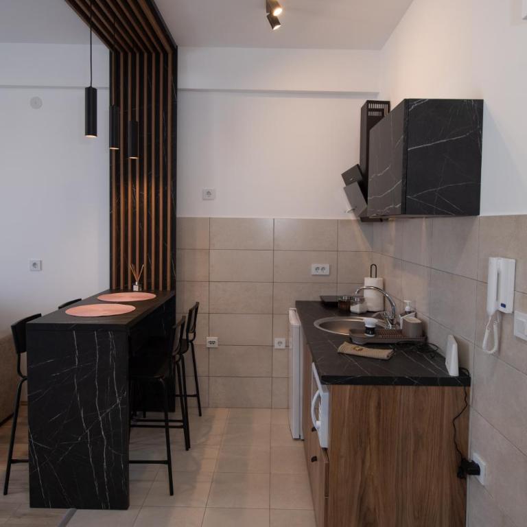 Petković apartmani 87 - Apartman sa 1 Spavaćom Sobom - 21