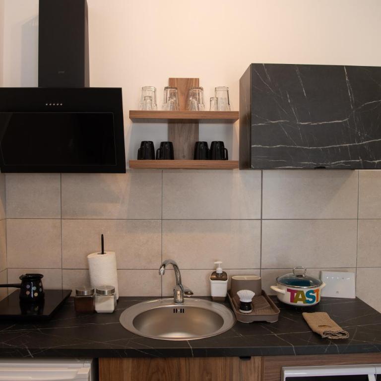 Petković apartmani 87 - Apartman sa 1 Spavaćom Sobom - 28