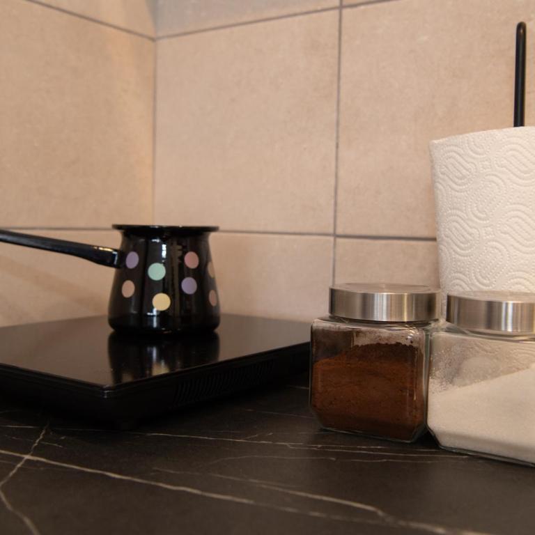 Petković apartmani 87 - Apartman sa 1 Spavaćom Sobom - 33