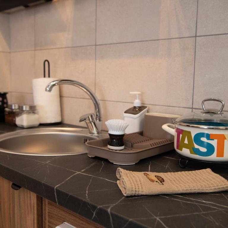 Petković apartmani 87 - Apartman sa 1 Spavaćom Sobom - 36