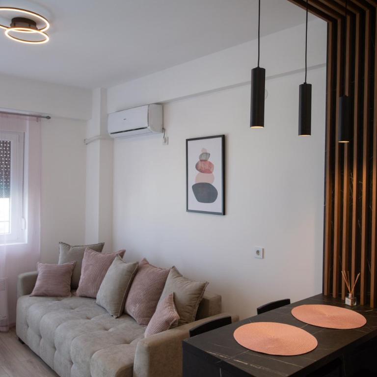 Petković apartmani 87 - Apartman sa 1 Spavaćom Sobom - 18