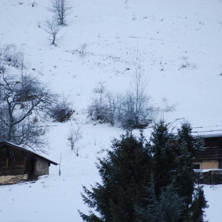 Chalet Mon Idole Spa - Appartement en Duplex - 11