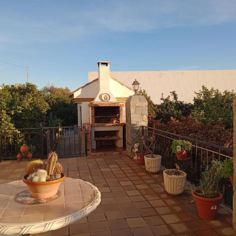 Cortijo Paulenca - Casa de 4 dormitorios - 6