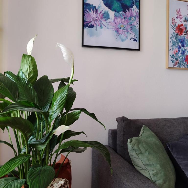 Apartman Behar Otoka Sarajevo - Apartman sa 1 Spavaćom Sobom - 41