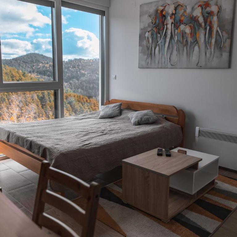 Apartmani Jezero Divčibare - Studio sa Pogledom na Planinu - 15