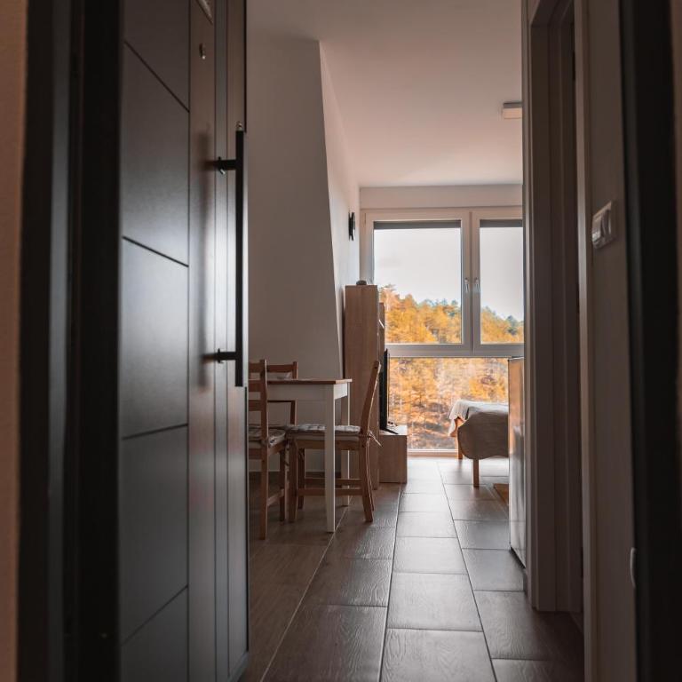 Apartmani Jezero Divčibare - Studio sa Pogledom na Planinu - 12