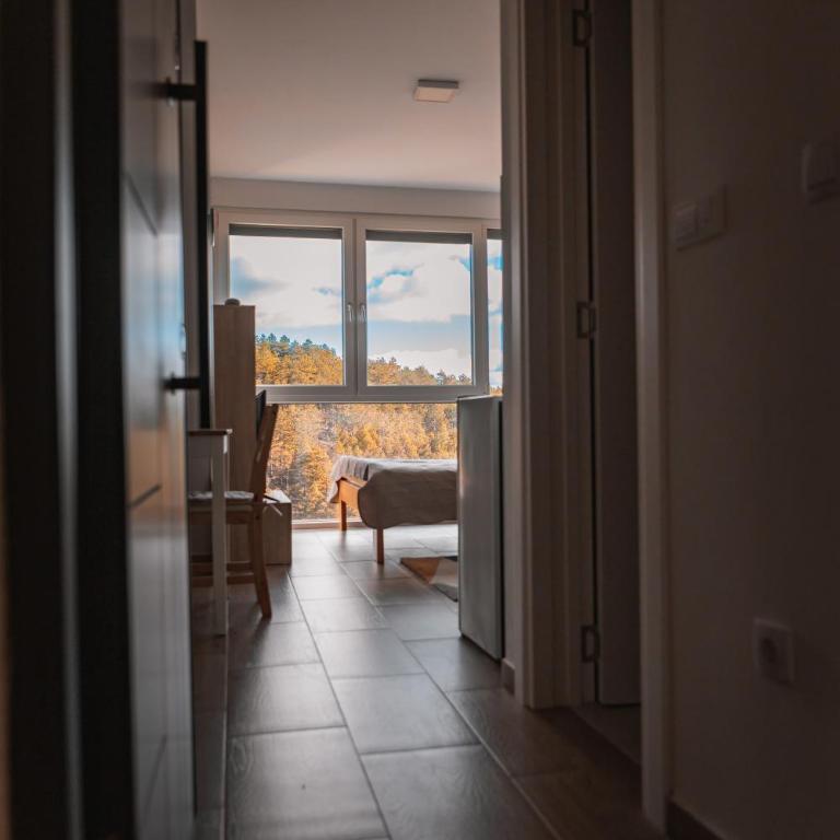 Apartmani Jezero Divčibare - Studio sa Pogledom na Planinu - 19