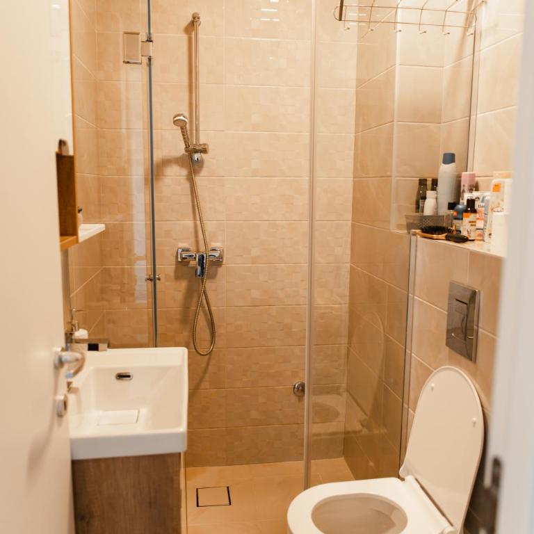 Apartmani Jezero Divčibare - Studio sa Pogledom na Planinu - 21