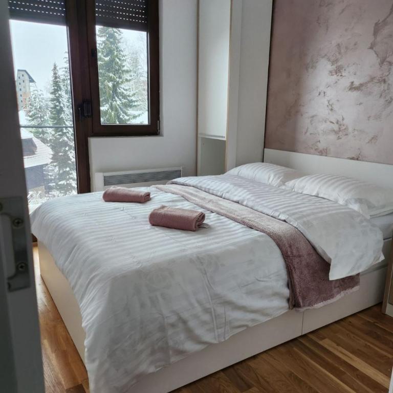 Apartman Stanislava - Apartman sa 1 Spavaćom Sobom - 10