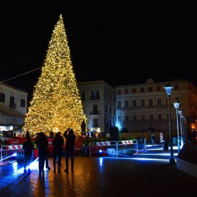 Beautiful Bari - One-Bedroom Apartment - 9