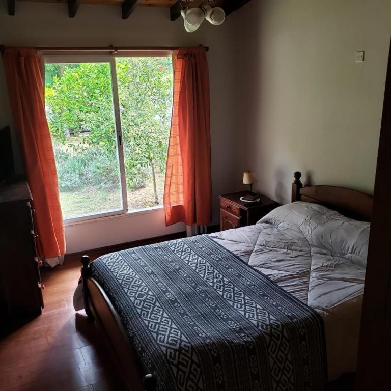 Andina - Four-Bedroom House - 6