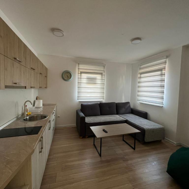 Deluxe NS - One-Bedroom Apartment - 2