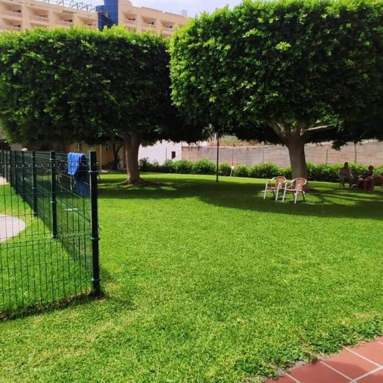Apartamento Eucalipto - Apartamento de 1 dormitorio - 6