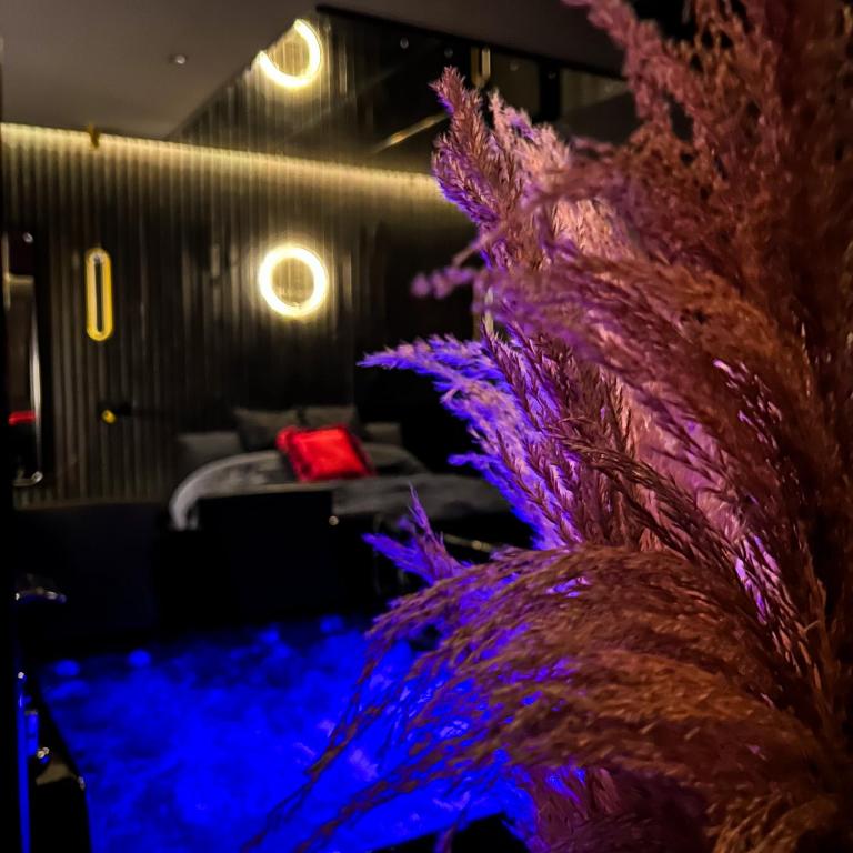 BlackRoom Suite de Luxe 50 Nuances de grey - Apartamento de 1 dormitorio - 17
