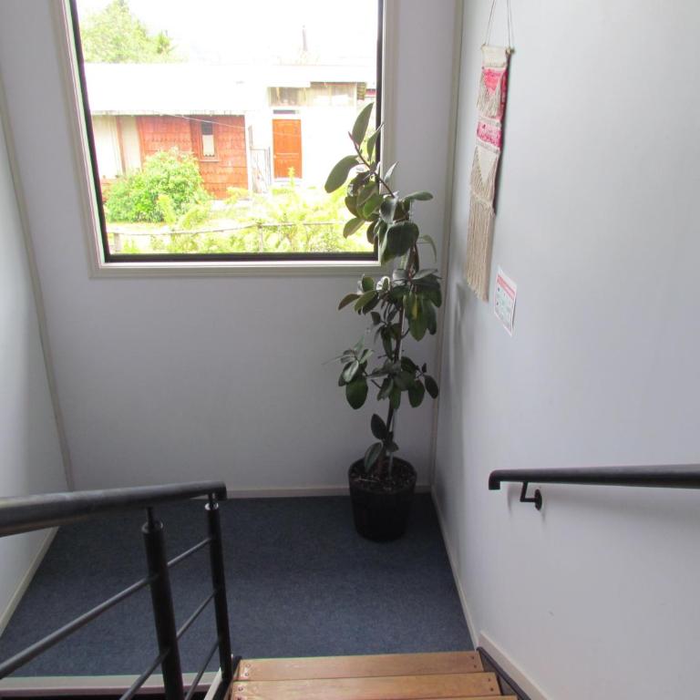 Hostería Antupirén - Habitación Doble con baño privado - 10