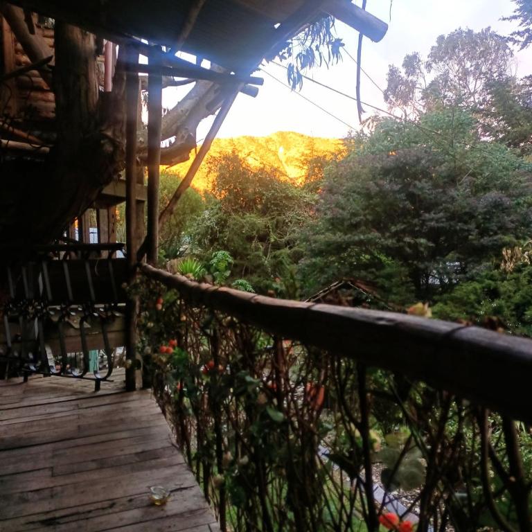 Cabaña en el arbol La Calera - Double Room with Park View - 2