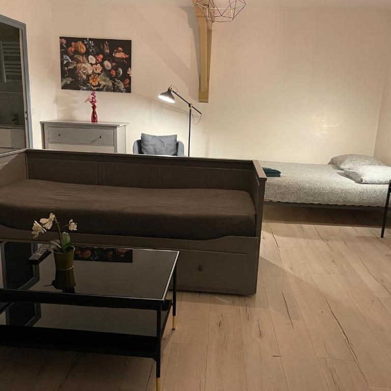 015 CHIC & COSY STUDIO 41m2 HYPERCENTRE WIFI SMART TV NETFLIX - Studio - 28