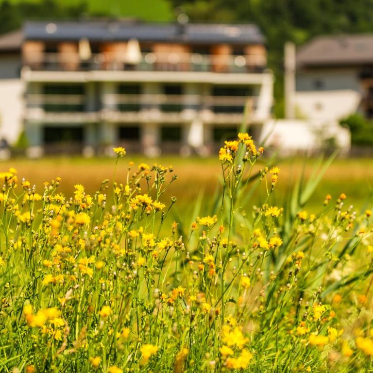 Fuchs Apartments - inklusive Eintritt in die Alpentherme Gastein - Apartamento de 1 dormitorio con balcón - 4