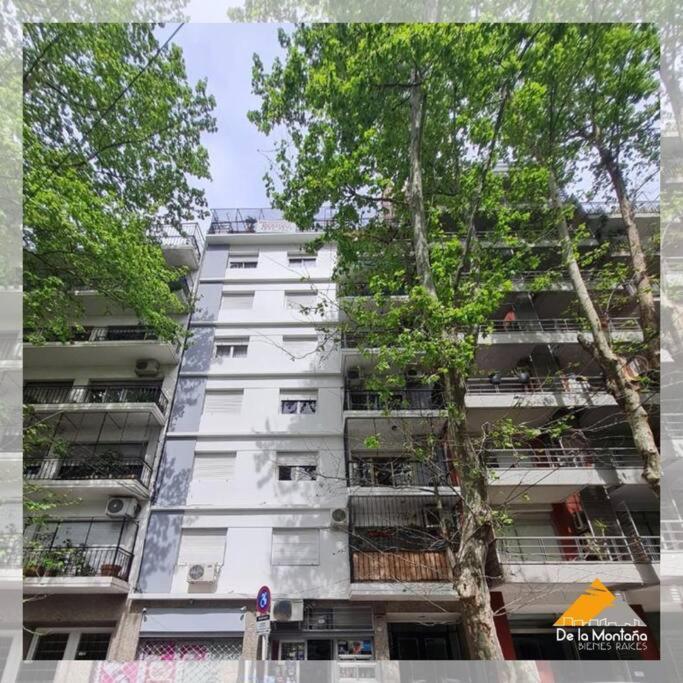De La Montaña • Palermo - Apartamento de 2 dormitorios - 11