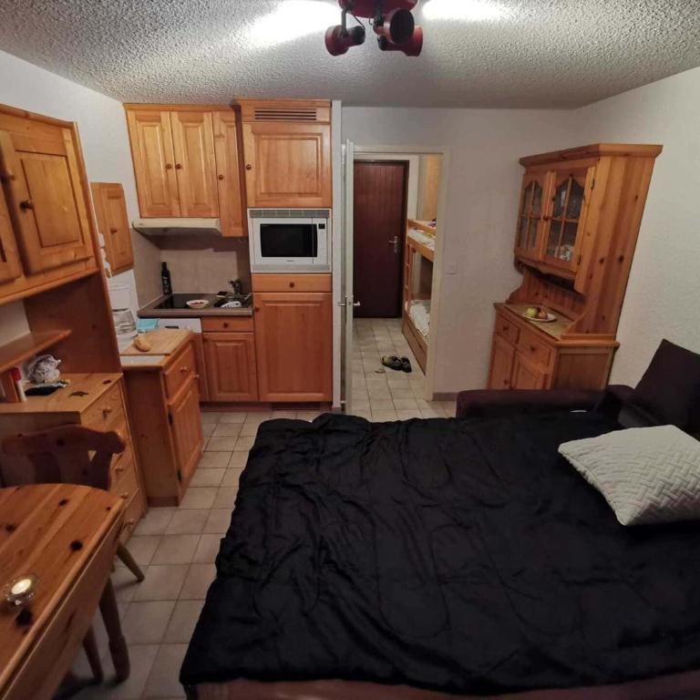Studio 3 Pers Châtel, Terrasse, Animaux Ok - FR-1-676-180 - Studio - 3