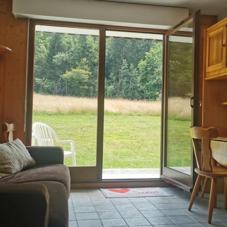 Studio 3 Pers Châtel, Terrasse, Animaux Ok - FR-1-676-180 - Studio - 6