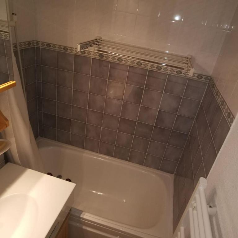 Studio 3 Pers Châtel, Terrasse, Animaux Ok - FR-1-676-180 - Studio - 9