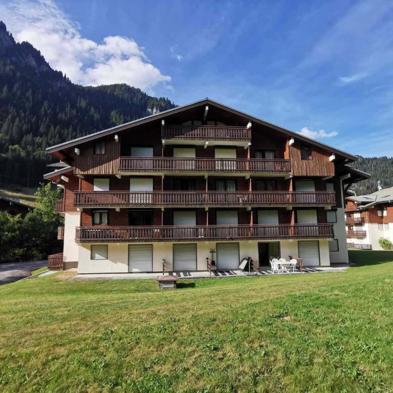 Studio 3 Pers Châtel, Terrasse, Animaux Ok - FR-1-676-180 - Studio - 14