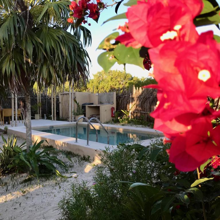 CasaCalma Great for families! - Casa de 2 dormitorios - 28