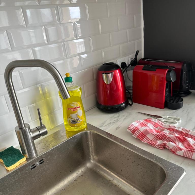 Appartement de charme sur les toits de Boulogne ! - Appartamento con 1 Camera da Letto - 10