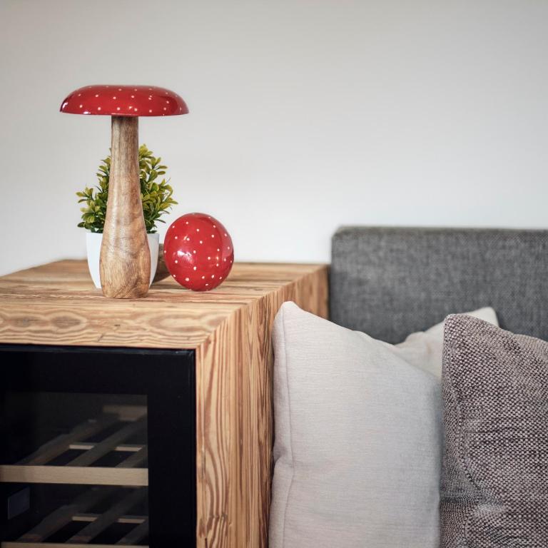 activechalets six.nine.eight - Apartment mit 1 Schlafzimmer und Aussicht - 7