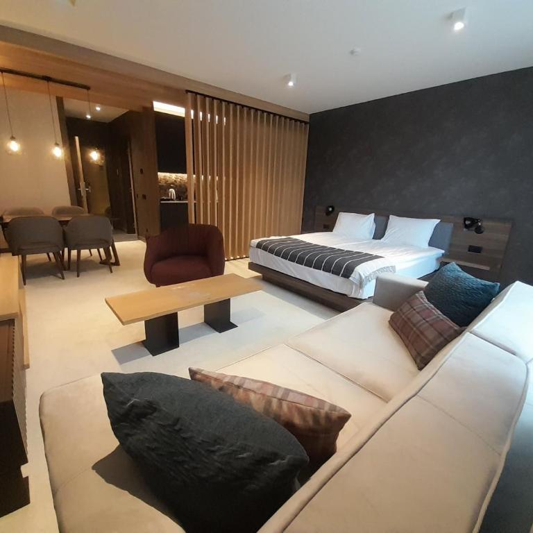 Woodside RENT Kopaonik - Deluks Studio - 16