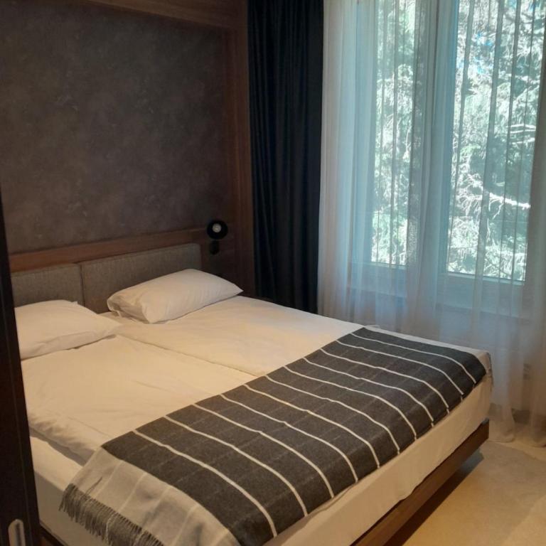 Woodside RENT Kopaonik - Apartman sa 2 Spavaće Sobe - 8