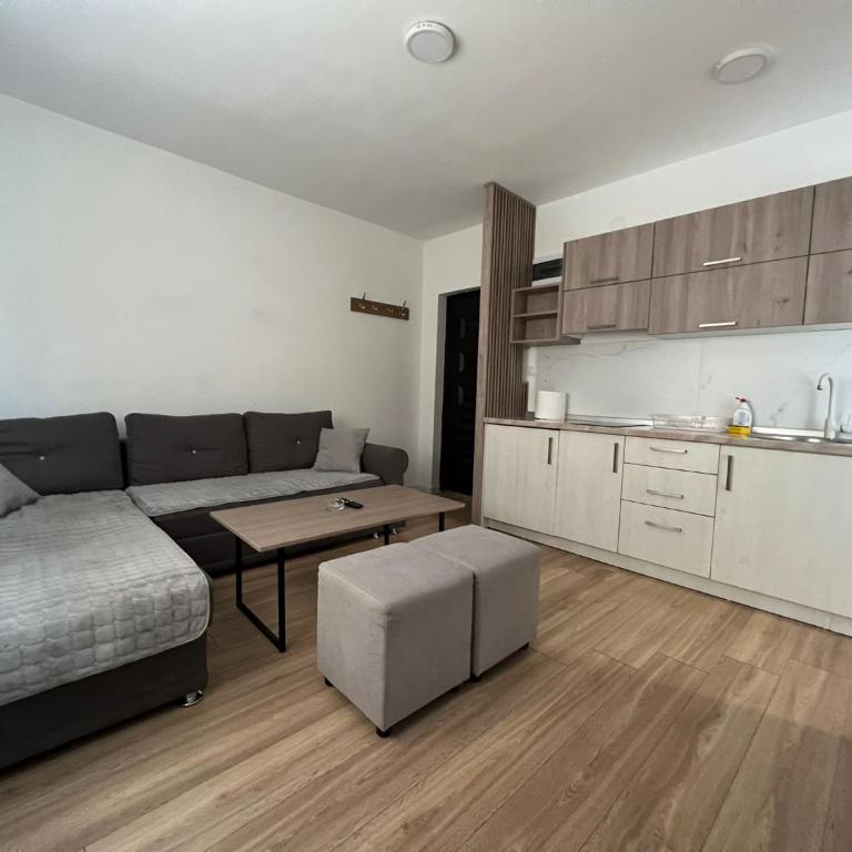 Deluxe NS 2 - One-Bedroom Apartment - 7