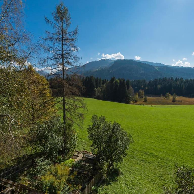 Wald am See - Apartamento de 2 dormitorios - 3