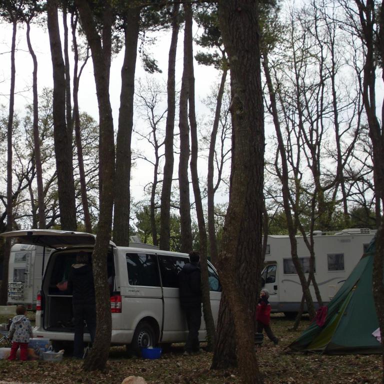 Villaggio Camping Bosco Selva - Empty lot (bring you own tent/caravan/camper) - 2