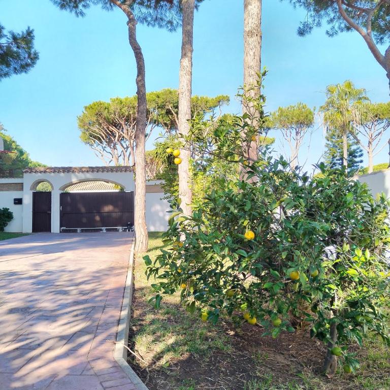 Villa Verde con Piscina a 800m de la Playa by Chiclana Dreams - Casa de 3 dormitorios - 39