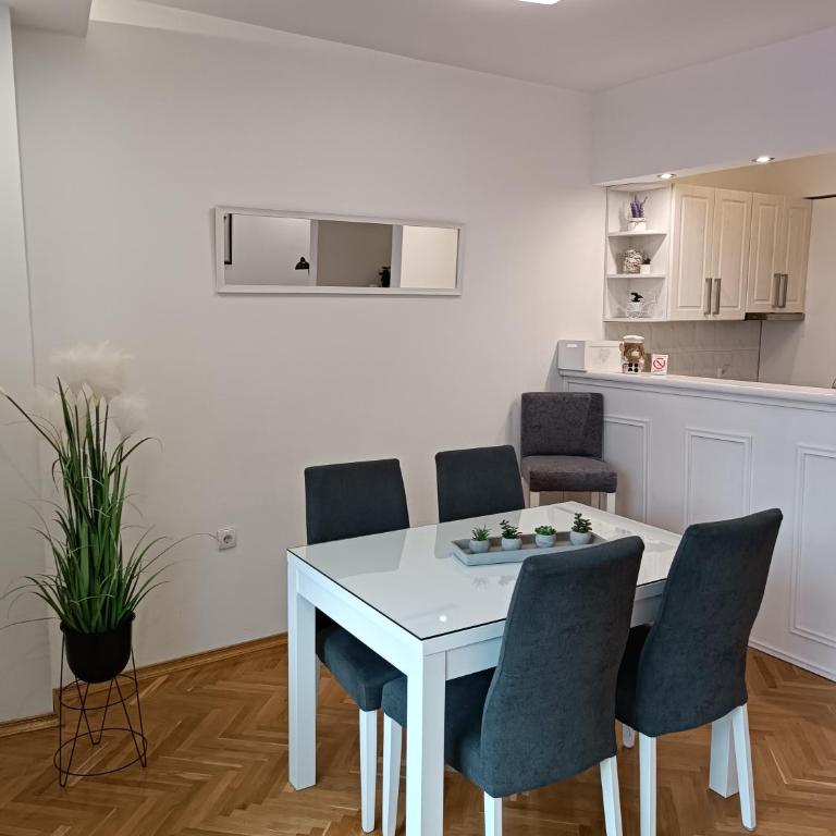 Korzo Apartment, Subotica - One-Bedroom Apartment - 7