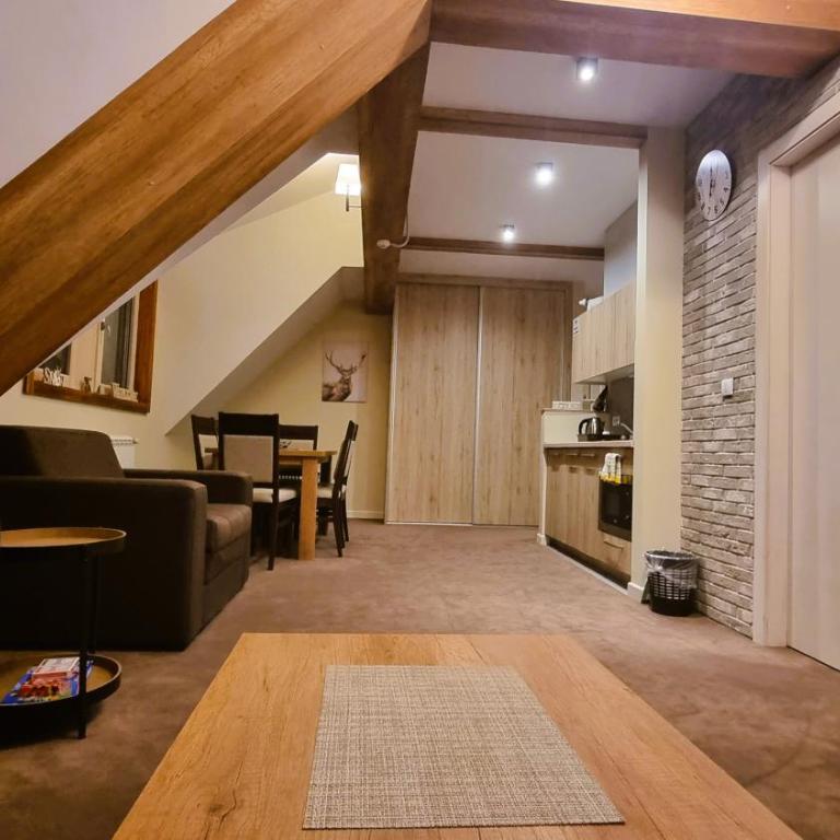 FEMI Kopaonik Apartment, Župa Aparthotel, Kopaonik Center - Apartman sa 1 Spavaćom Sobom - 9