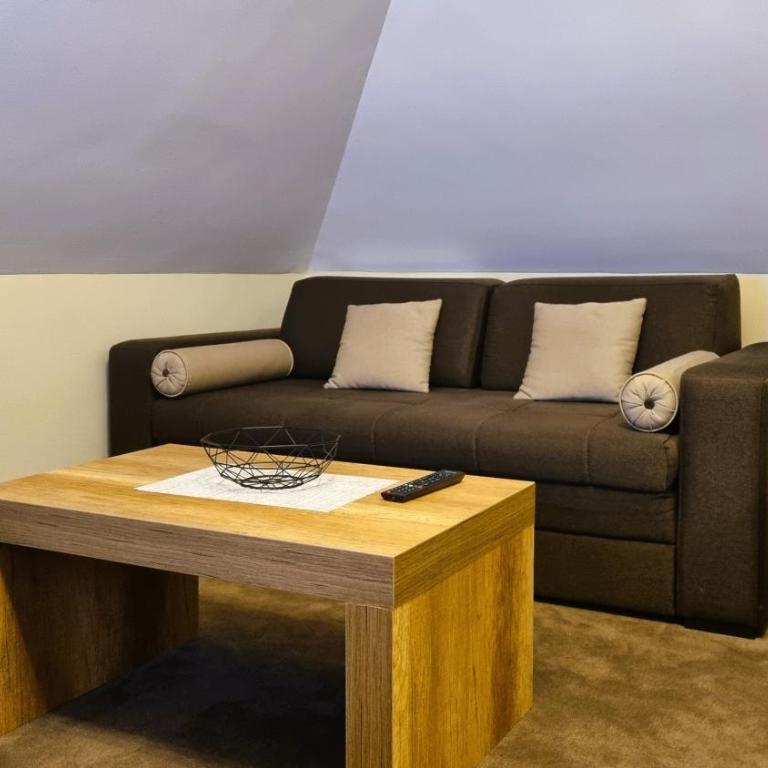 FEMI Kopaonik Apartment, Župa Aparthotel, Kopaonik Center - Apartman sa 1 Spavaćom Sobom - 5